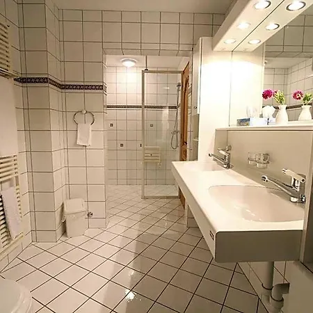 Schweizerhof Hotel Mels