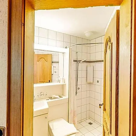 Schweizerhof Hotel Mels