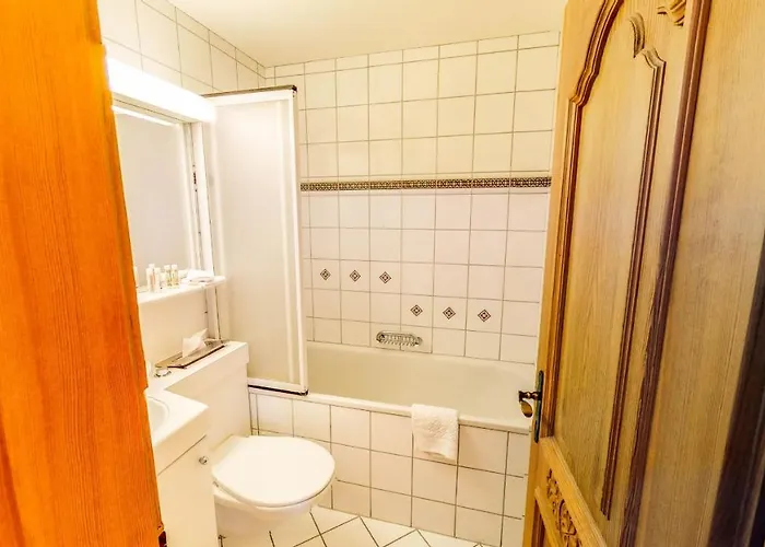 Schweizerhof Hotel Mels