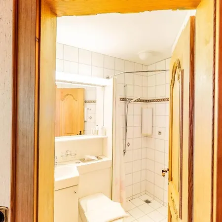 Schweizerhof 3* Mels