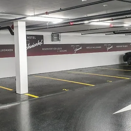 Schweizerhof فندق