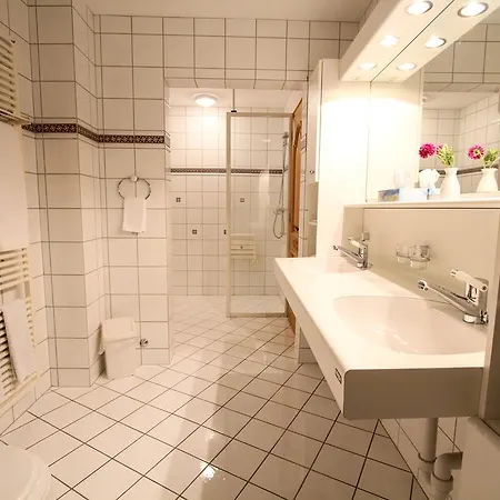 Hotel Schweizerhof 3*