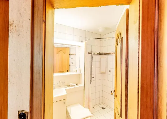 Schweizerhof 3* Mels